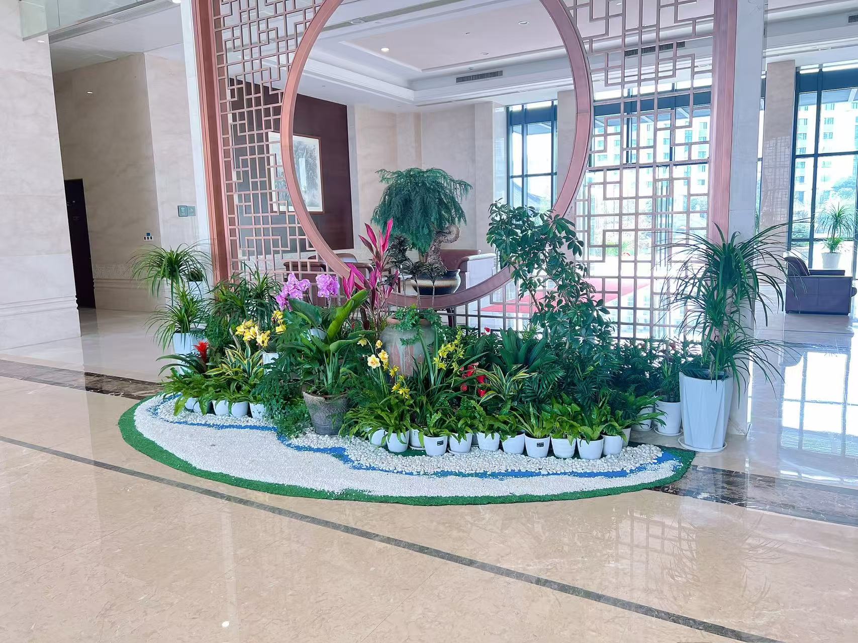 前湾植物租摆设计，打造别具一格的绿色空间